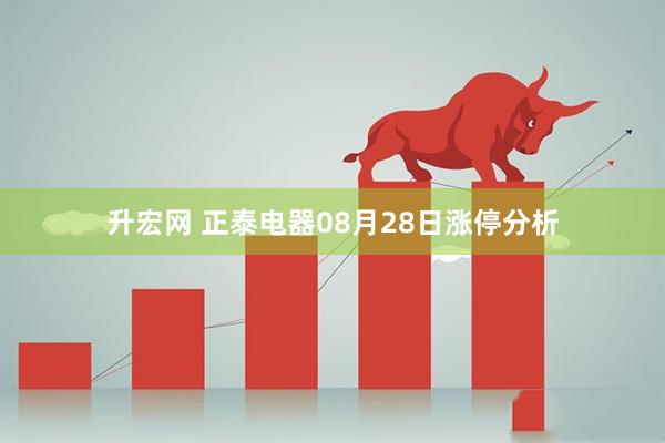 升宏网 正泰电器08月28日涨停分析