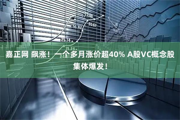 嘉正网 飙涨！一个多月涨价超40% A股VC概念股集体爆发！