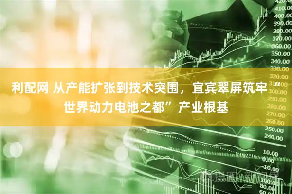 利配网 从产能扩张到技术突围，宜宾翠屏筑牢 “世界动力电池之都” 产业根基