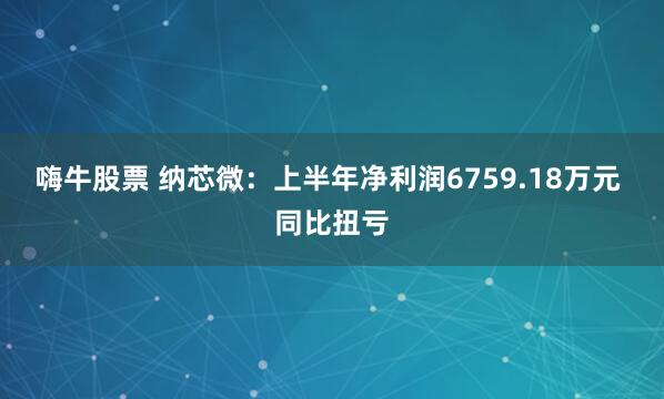 嗨牛股票 纳芯微：上半年净利润6759.18万元 同比扭亏